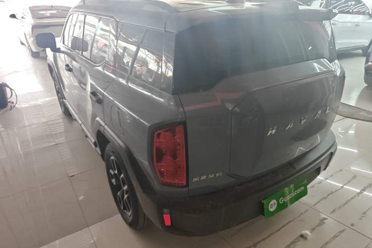 Used Haval X DOG 2022 1.5T DCT Two-Wheel Drive Trendy Edition Rear Left 45 Deg
