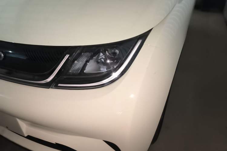 Used BYD Dolphin 2025 420km Free Edition