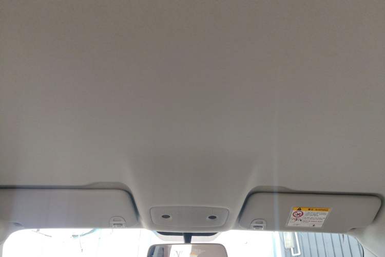 Used Leapmotor T03 2024 310 Comfort Edition Headliner