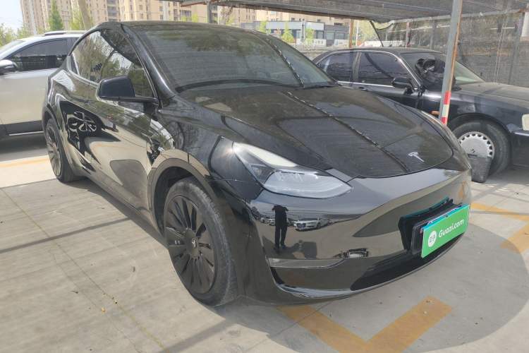 Used Tesla Model Y 2021 Standard Range Rear-Wheel Drive Version
