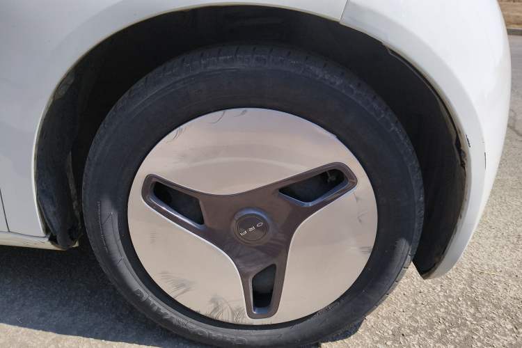 Used ORA White Cat 2020 401 km Long-Range Version
