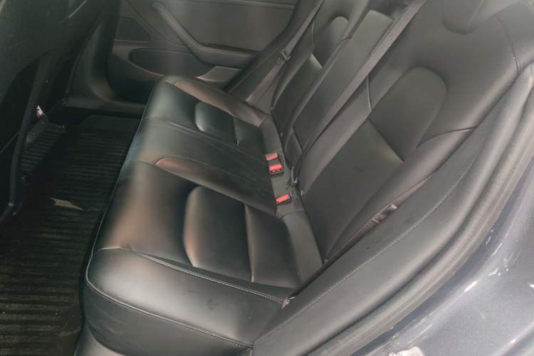 Used Tesla Model 3 2019 Standard Range Rear-Drive Upgraded Version Left Rear Seat