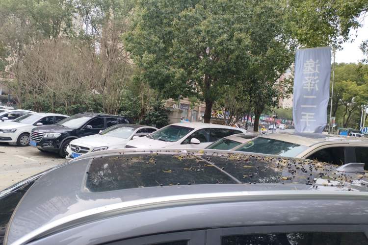 Used JETOUR X90 PLUS 2024 1.6TD DCT Villa 5-Seater
