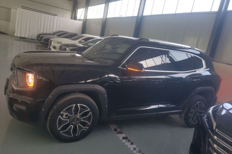 Used Haval H Dog New Energy 2023 DHT-PHEV 105km Tide Electric Version Plus