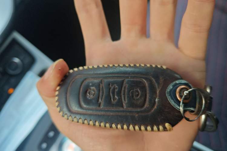 Used Geely Auto Emgrand GSe 2018 ZhenShang Model
