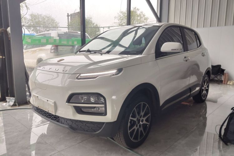 Used Dayun Yuehu 2021 Revised Version 32.85 kWh Two-Wheel Drive Sprite Edition