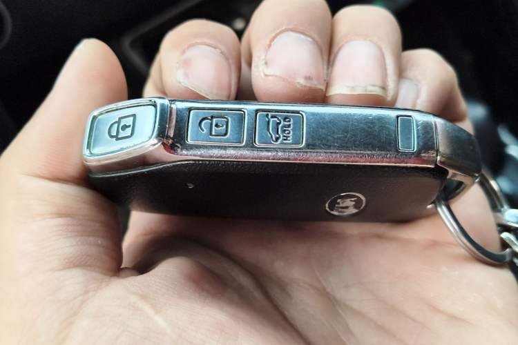 Used Kia Sportage R 2019 2.0L Automatic Smart Luxury Edition