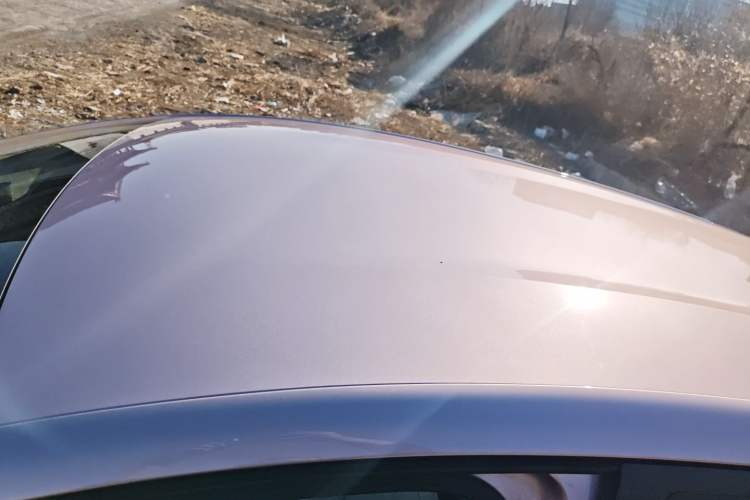 Used BYD Dolphin 2024 Honor Edition 420km Freedom Version