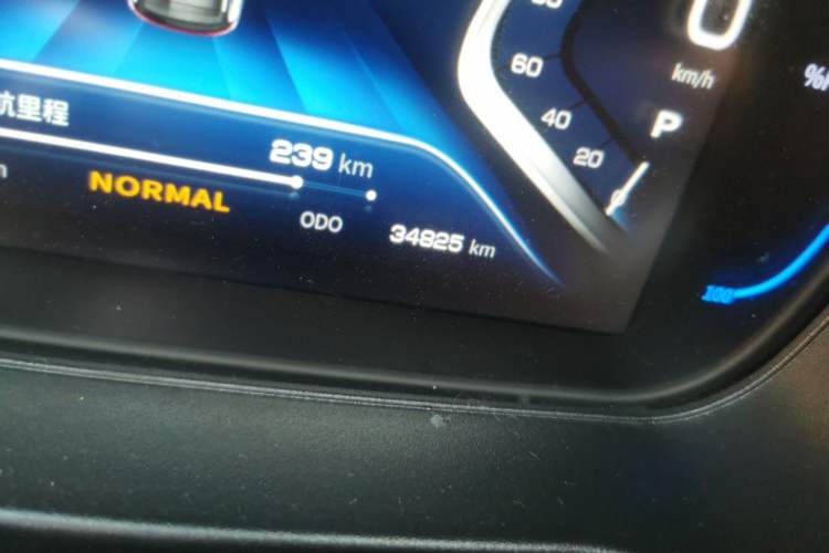 Used Dayun Yuehu 2021 32.85 kWh Two-Wheel-Drive Sprite Version
