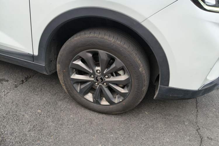 Used WM Motor EX5 2019 EX5 Mate Weymeng Edition 400