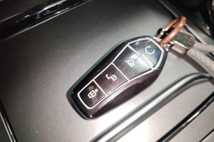 Used BYD Tang New Energy 2025 DM-i 115KM Prestige Model