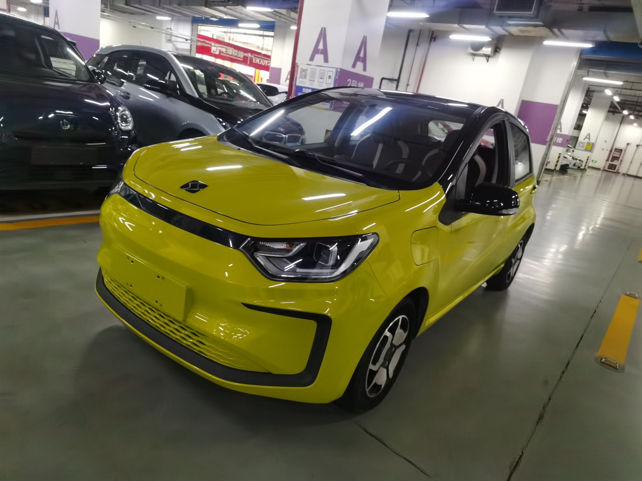 تحت مقدمة السيارة