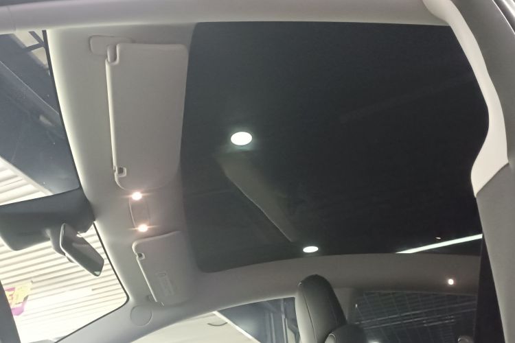 Used Tesla Model Y 2022 Long-Range All-Wheel-Drive Version Headliner