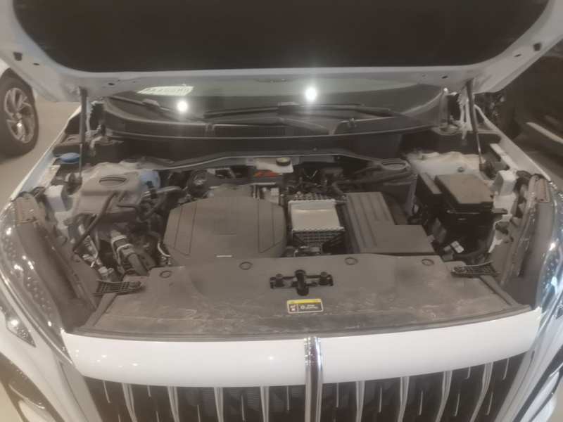Used Hongqi HS3 PHEV 2025 Model 125km Jingwei 2 Millionth Anniversary Edition — 19