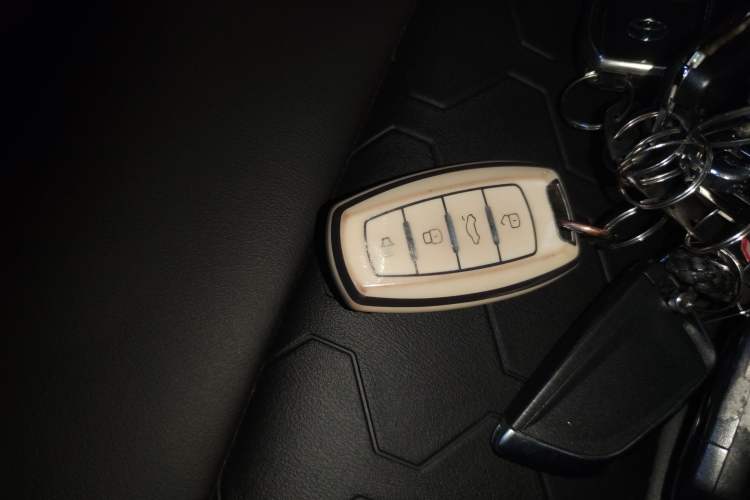 Used Haval DARGO 2022 1.5T DCT Two-Wheel Drive Labrador Edition