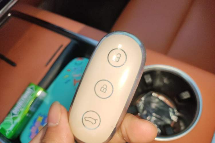 Used Li Auto L8 2023 Pro Model