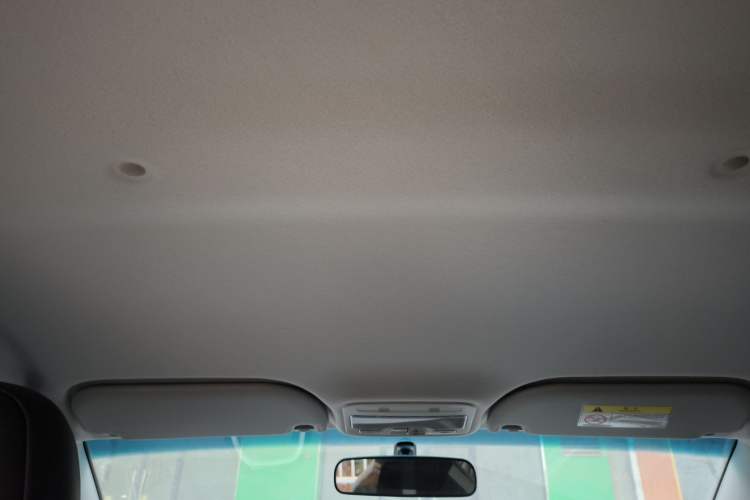 Used SOL E10X 2022 Flower Fairy Style Baby's Breath
