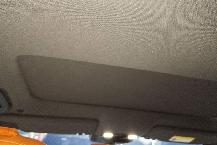 Used Li Auto L8 2023 Pro Model Headliner