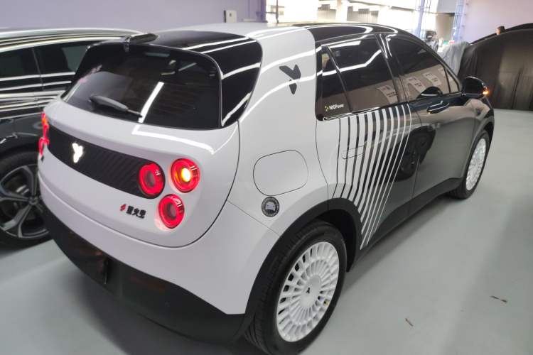 Used firefly 2025 Night Creature Special Edition
