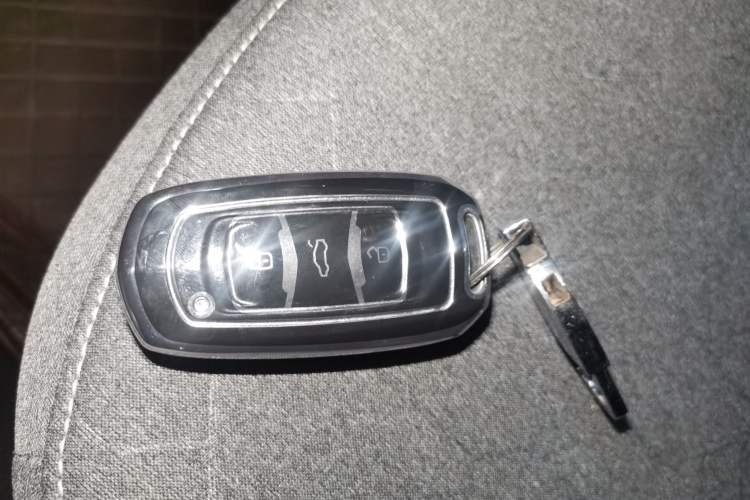 Used Geely Galaxy Panda 2024 Panda Mini 200km Endurance Bear Vehicle Key