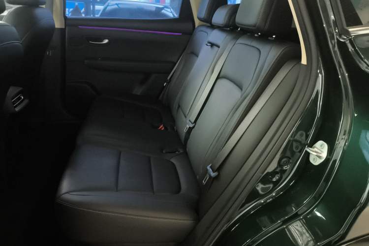 Used Landian E5 PLUS 2025 120km Standard Travel Custom Edition 5 Seats
