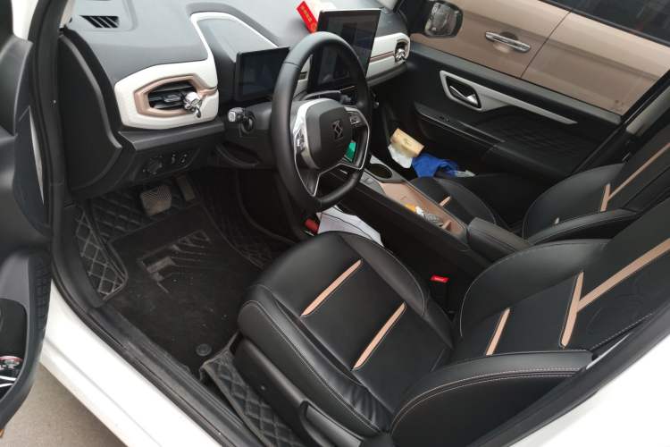 Used SOL E10X 2022 Flower Fairy Style Baby's Breath