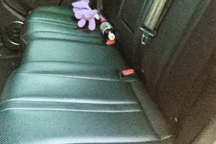 Used Tank 300 2023 2.0T Iron Rider 02
