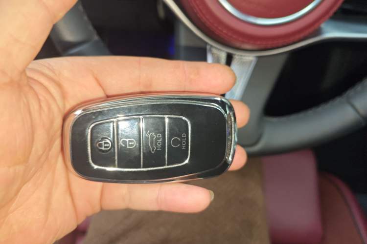 Used Hongqi E-HS9 2022 690 km Range Flagship Edition Six Seats