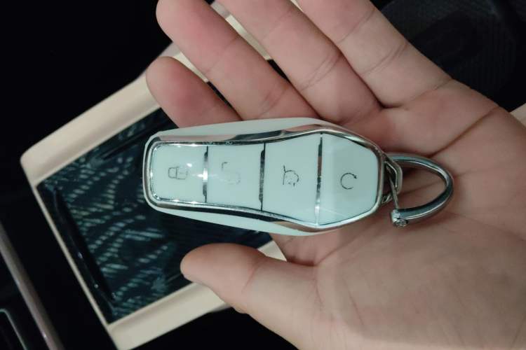 Used BYD Seagull 2023 Flying Edition