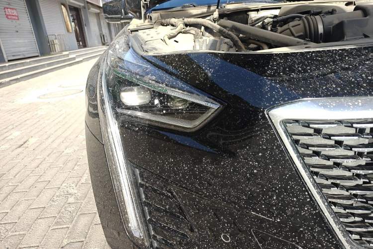 Used Cadillac CT6 2019 28T Luxury Model
