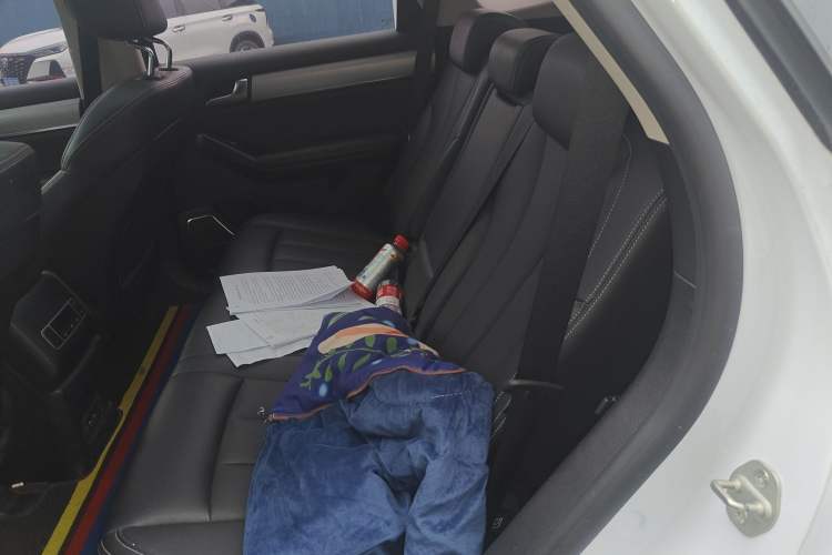 Used BYD Tang 2019 2.0T Automatic SmartConnect Luxury 7-Seater China VI Standard Left Rear Seat