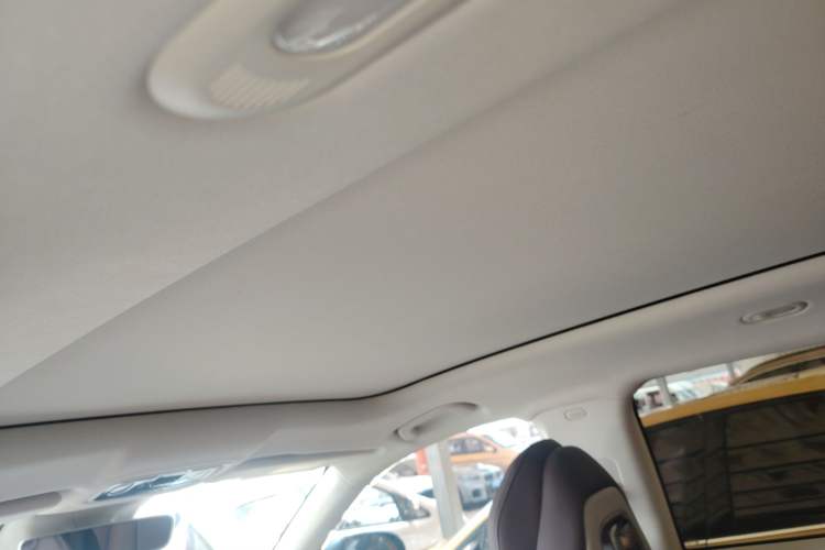 Used Leapmotor C11 2023 Pure Electric 500 Smart Edition