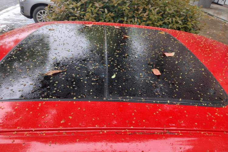 Used Lynk & Co 03 2019 1.5TD DCT Sport Edition China VI Standard Roof