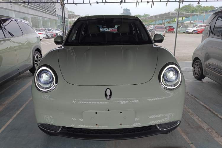 Used ORA Good Cat 2023 401 km Standard Range Luxury Version Ternary Lithium
