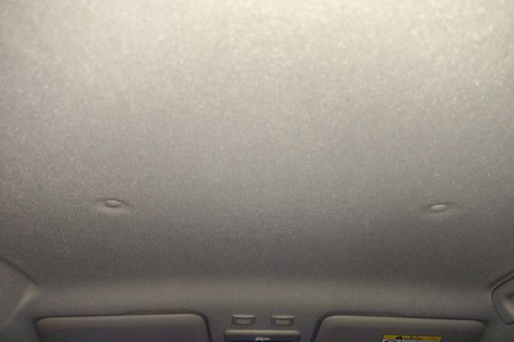 Used ORA Black Cat 2021 301 km Basic Version