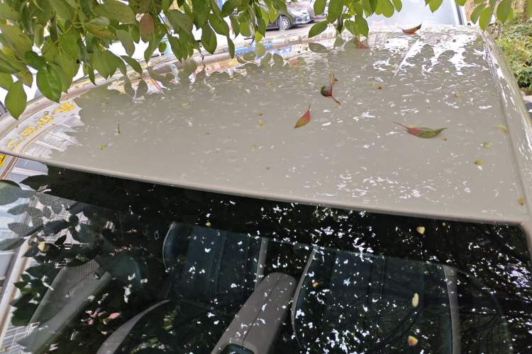 Used BYD Seagull 2023 Active Version
