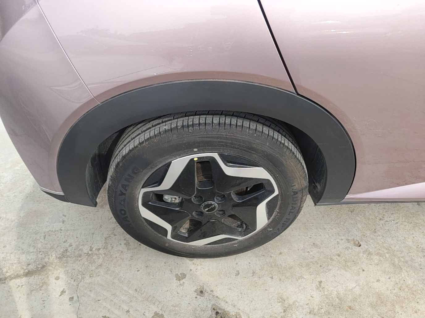 BYD Dolphin 2021 405 km Fashion Edition — снимка 11