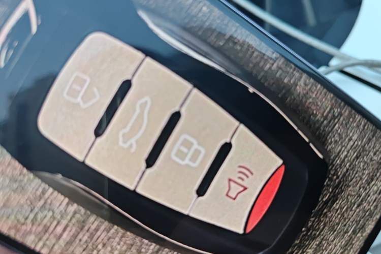 Used Haval LHERY 2021 High-Performance Version 1.5T Golden Rabbit Vehicle Key