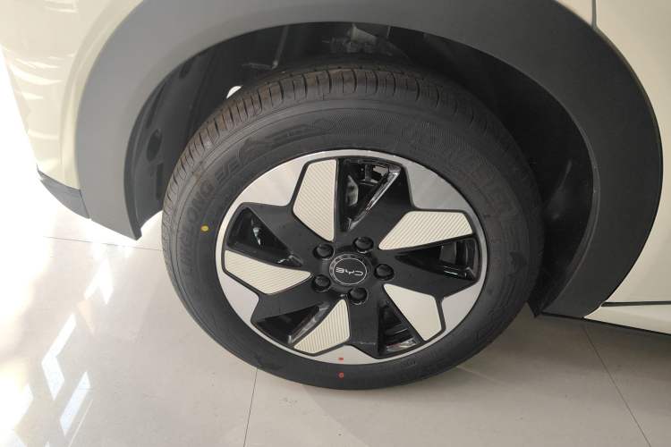 Used BYD Dolphin 2025 420km Free Edition