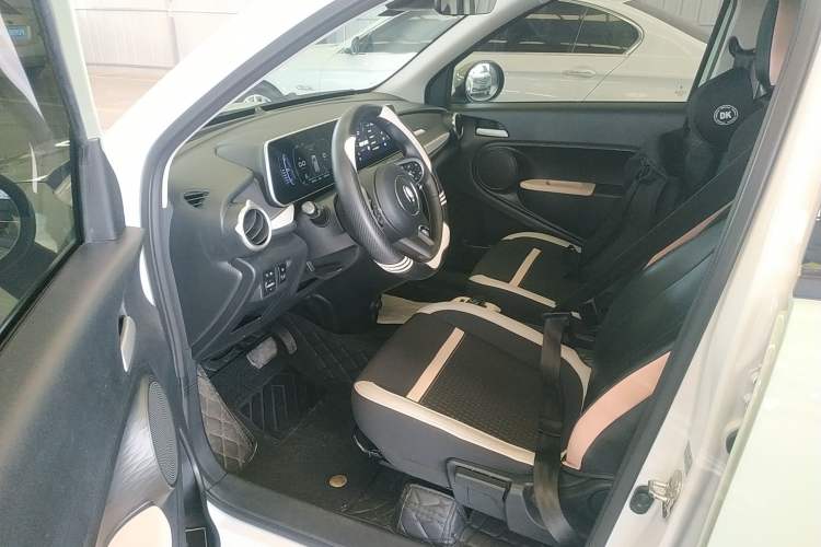 Used ORA Black Cat 2022 351 km Range Comfort Version Ternary Lithium