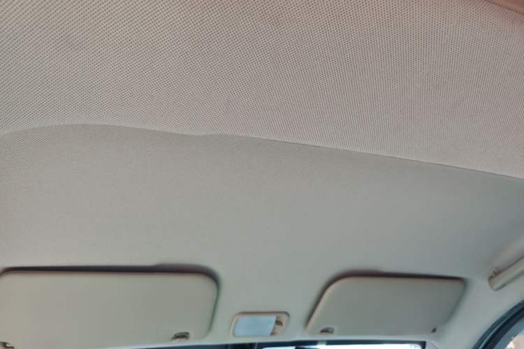 Used Wuling Hongguang V 2019 1.5L Enjoyment Version China VI LAR Headliner