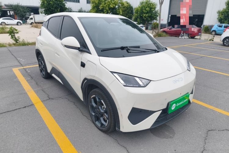 Used BYD Seagull 2025 Smart Drive Version 305 km Freedom Edition