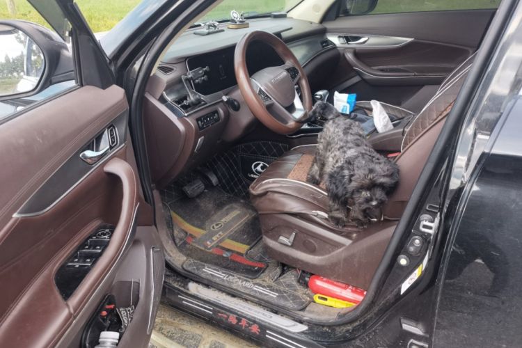 Used Leopaard Mattu 2018 1.6T GDI DCT Prestige Model