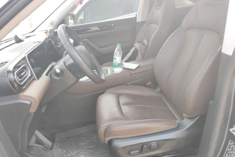 Used Leapmotor C11 2023 Pure Electric 500 Comfort Edition