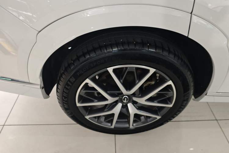 Used GAC Trumpchi GS8 2022 Dual-Engine Series 2.0TM Two-Wheel Drive Prestige Edition (7 Seats) Exterior 5