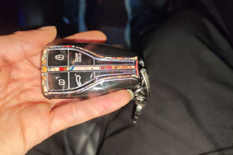 Used Hongqi HS5 2019 2.0T Smart Connect Flagship All-Wheel-Drive Version