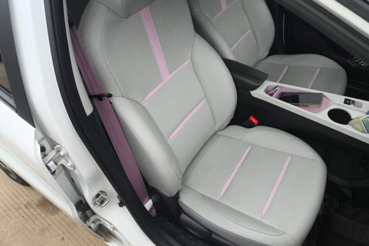 Used SOL E10X 2022 Flower Fairy Design Four-Leaf Clover Right Front Seat