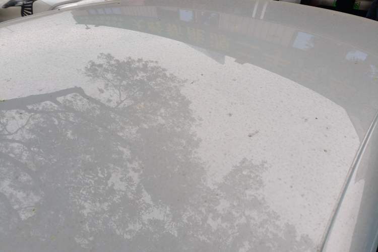 Used BYD Qin L 2024 DM-i 80KM Leading Model