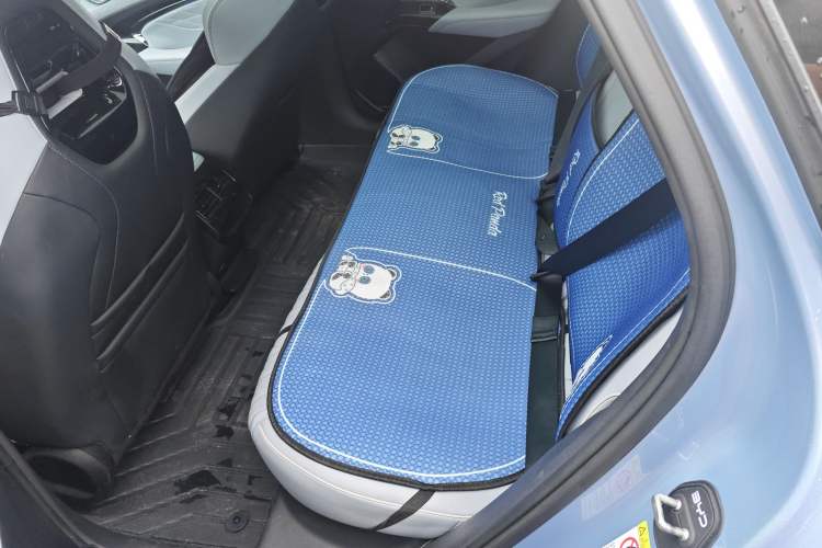 Used BYD Seal 2022 700 km Long-Range Rear-Wheel-Drive Version Left Rear Seat