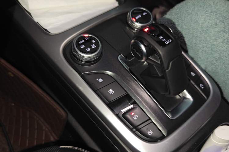 Used Tank 300 2024 2.0T Crosser Gear Lever